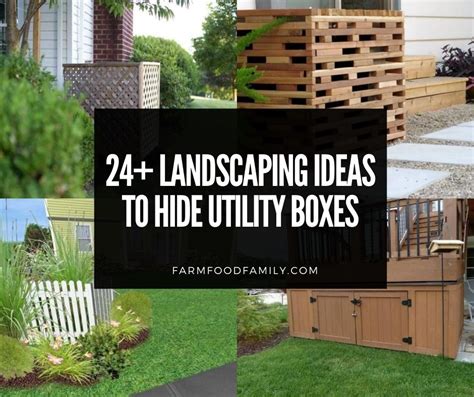 landscaping to hide boxes